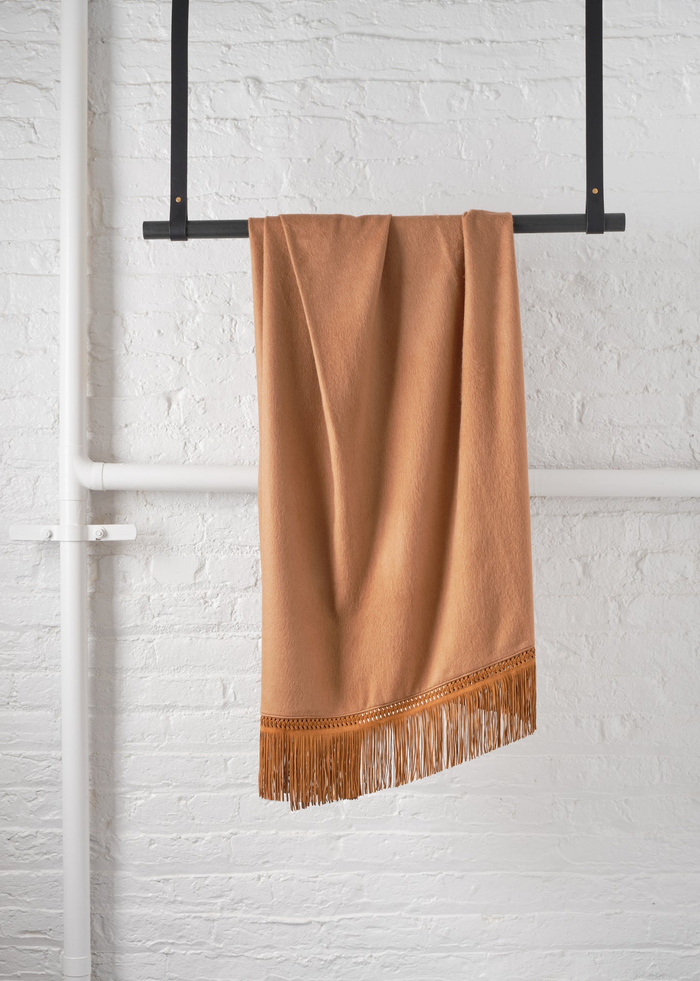 Cashpiel Vicuna