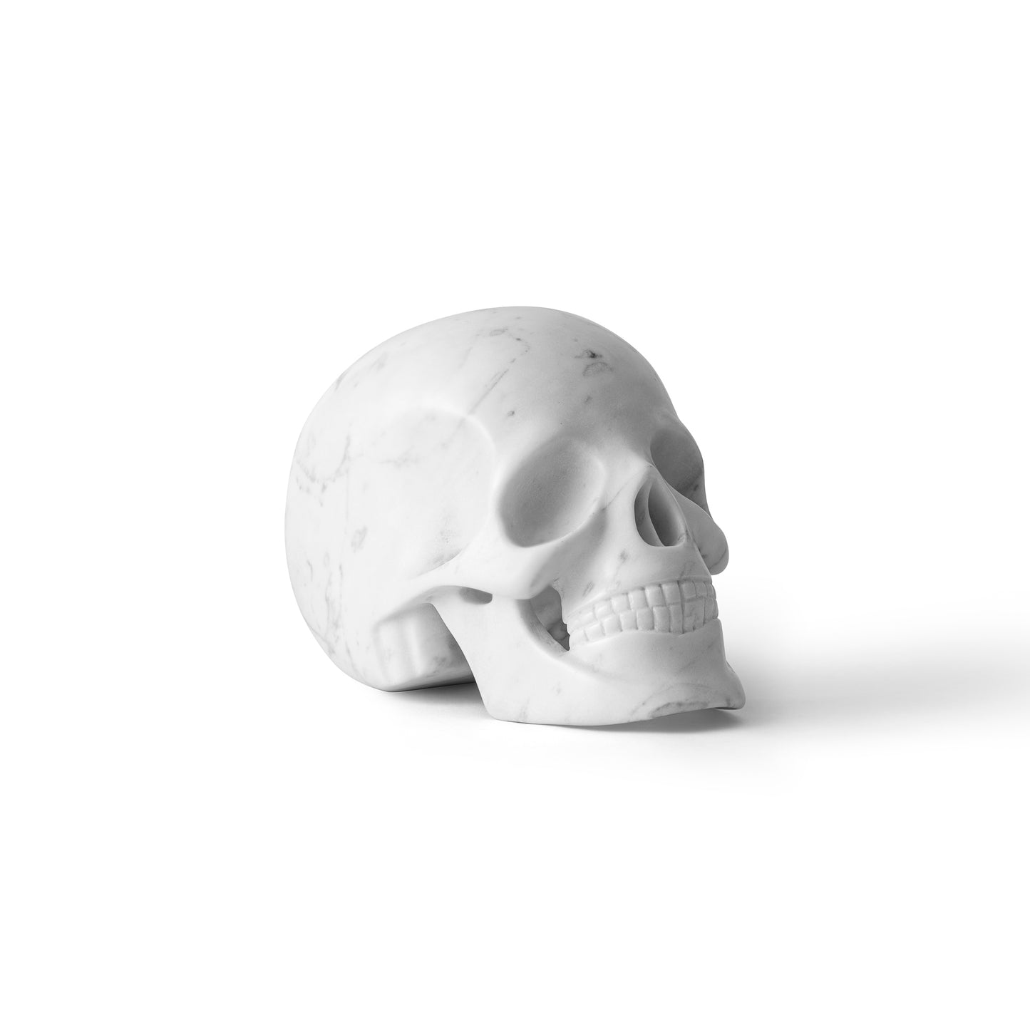 Carrara Skull