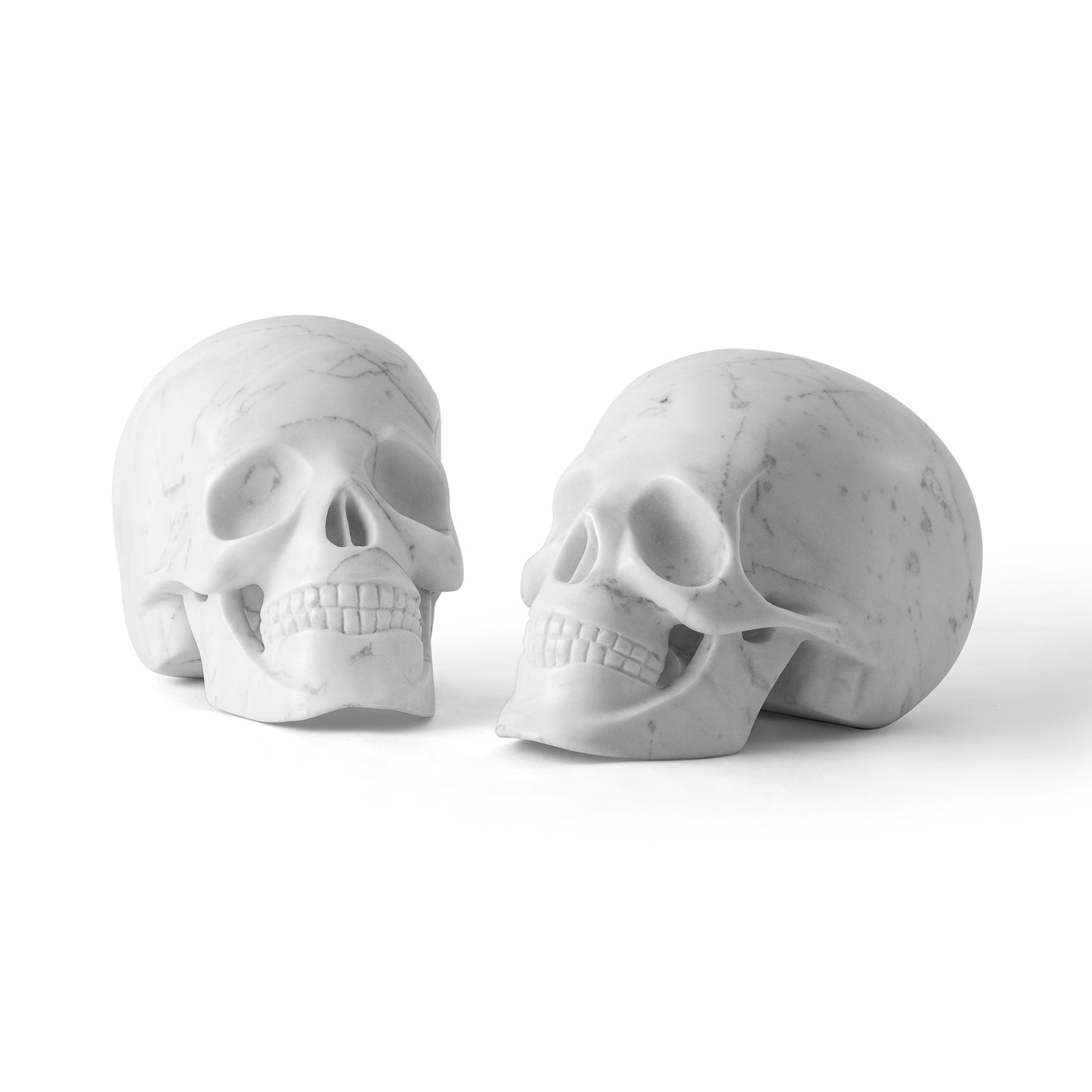 Carrara Skull