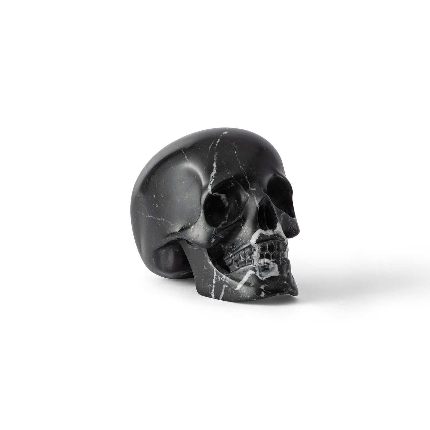 Marquina Skull