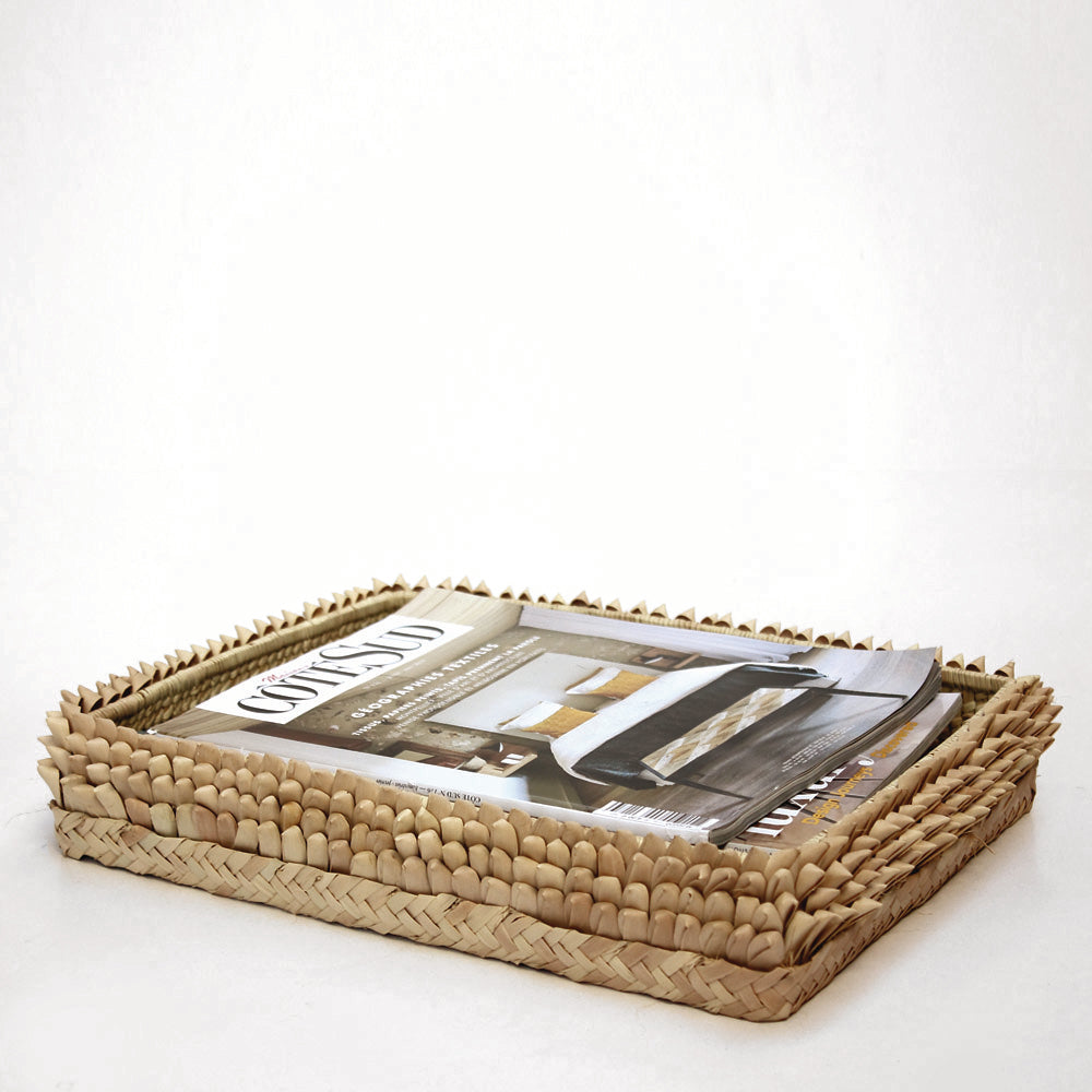 Porcupine_Paper_Tray.jpg